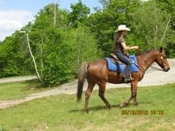 IMG_1951.jpg