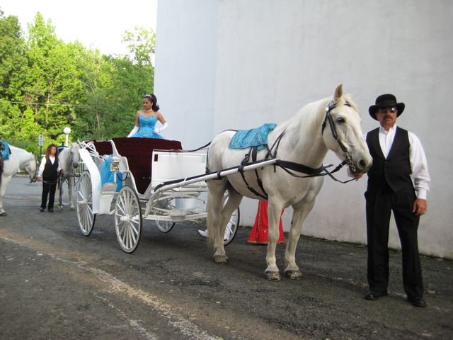 We also have decorated carriages for Indian Weddings