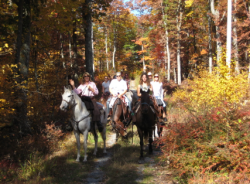 Horseback Riding Lessons in NJ