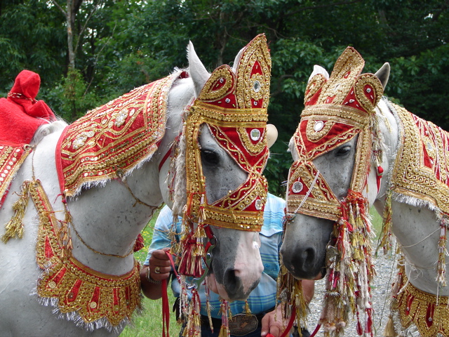 Indian Weddings