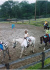 http://www.echolakestables.com/images/thumbnails/2003aug03_small.jpg