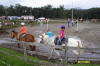 http://www.echolakestables.com/images/thumbnails/2004aug02_small.jpg