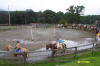http://www.echolakestables.com/images/thumbnails/2004aug05_small.jpg