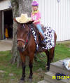 http://www.echolakestables.com/images/thumbnails/2004aug12_small.jpg