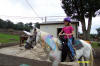 http://www.echolakestables.com/images/thumbnails/2004aug13_small.jpg