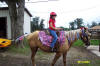 http://www.echolakestables.com/images/thumbnails/2004aug14_small.jpg