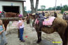 http://www.echolakestables.com/images/thumbnails/2004aug24_small.jpg