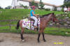 http://www.echolakestables.com/images/thumbnails/2004aug29_small.jpg