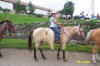 http://www.echolakestables.com/images/thumbnails/2004aug30_small.jpg