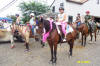 http://www.echolakestables.com/images/thumbnails/2004aug34_small.jpg