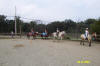 http://www.echolakestables.com/images/thumbnails/2004aug46_small.jpg