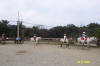http://www.echolakestables.com/images/thumbnails/2004aug47_small.jpg