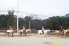 http://www.echolakestables.com/images/thumbnails/2004aug48_small.jpg