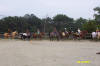 http://www.echolakestables.com/images/thumbnails/2004aug49_small.jpg