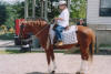 http://www.echolakestables.com/images/thumbnails/2004july01_small.jpg