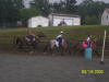 http://www.echolakestables.com/images/thumbnails/2005aug01_small.jpg