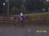 http://www.echolakestables.com/images/thumbnails/2005aug03_small.jpg