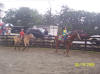 http://www.echolakestables.com/images/thumbnails/2005aug05_small.jpg