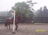 http://www.echolakestables.com/images/thumbnails/2005aug08_small.jpg