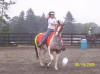 http://www.echolakestables.com/images/thumbnails/2005aug09_small.jpg