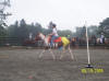 http://www.echolakestables.com/images/thumbnails/2005aug10_small.jpg