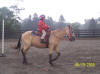 http://www.echolakestables.com/images/thumbnails/2005aug11_small.jpg