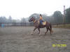 http://www.echolakestables.com/images/thumbnails/2005aug13_small.jpg