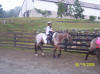 http://www.echolakestables.com/images/thumbnails/2005aug14_small.jpg