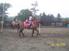 http://www.echolakestables.com/images/thumbnails/2005aug15_small.jpg