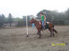 http://www.echolakestables.com/images/thumbnails/2005aug16_small.jpg