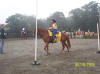 http://www.echolakestables.com/images/thumbnails/2005aug17_small.jpg