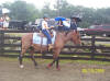 http://www.echolakestables.com/images/thumbnails/2005aug18_small.jpg