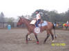http://www.echolakestables.com/images/thumbnails/2005aug19_small.jpg