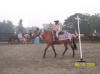 http://www.echolakestables.com/images/thumbnails/2005aug20_small.jpg