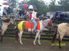 http://www.echolakestables.com/images/thumbnails/2005aug21_small.jpg