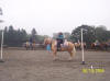 http://www.echolakestables.com/images/thumbnails/2005aug22_small.jpg