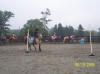 http://www.echolakestables.com/images/thumbnails/2005aug23_small.jpg