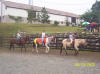 http://www.echolakestables.com/images/thumbnails/2005aug24_small.jpg