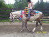 http://www.echolakestables.com/images/thumbnails/2005july06_small.jpg