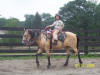 http://www.echolakestables.com/images/thumbnails/2005july10_small.jpg