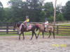 http://www.echolakestables.com/images/thumbnails/2005july11_small.jpg