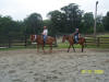 http://www.echolakestables.com/images/thumbnails/2005july12_small.jpg
