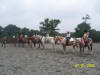 http://www.echolakestables.com/images/thumbnails/2005july15_small.jpg