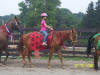 http://www.echolakestables.com/images/thumbnails/2005july17_small.jpg