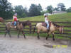 http://www.echolakestables.com/images/thumbnails/2005july20_small.jpg