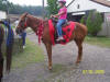 http://www.echolakestables.com/images/thumbnails/2005july25_small.jpg