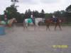http://www.echolakestables.com/images/thumbnails/2005july29_small.jpg