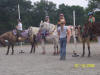http://www.echolakestables.com/images/thumbnails/2005july32_small.jpg