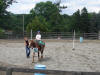 http://www.echolakestables.com/images/thumbnails/2007summer04_small.jpg