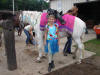 http://www.echolakestables.com/images/thumbnails/2007summer09_small.jpg